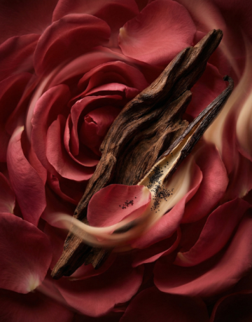 Aromatic89 Náhradní náplň do parfémového klipu do auta - Satin Touch